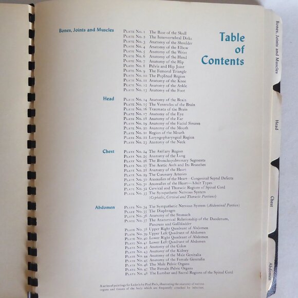 VINTAGE 1956 ATLAS OF NORMAL ANATOMY ILLUSTRATED SPIRAL BOUND ODDITY - Picture 9 of 11